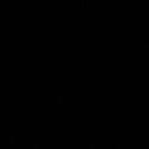 Meet your Posher, Lillian